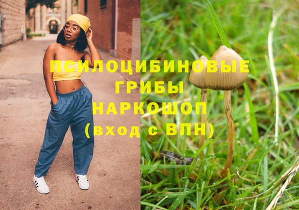 СК Белокуриха