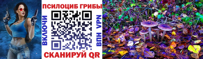 Галлюциногенные грибы мицелий Красный Холм